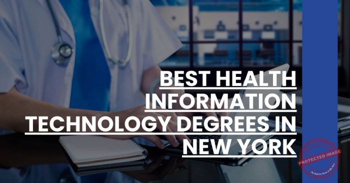 Best Health Information Technology Degrees In New York - RHIT 101